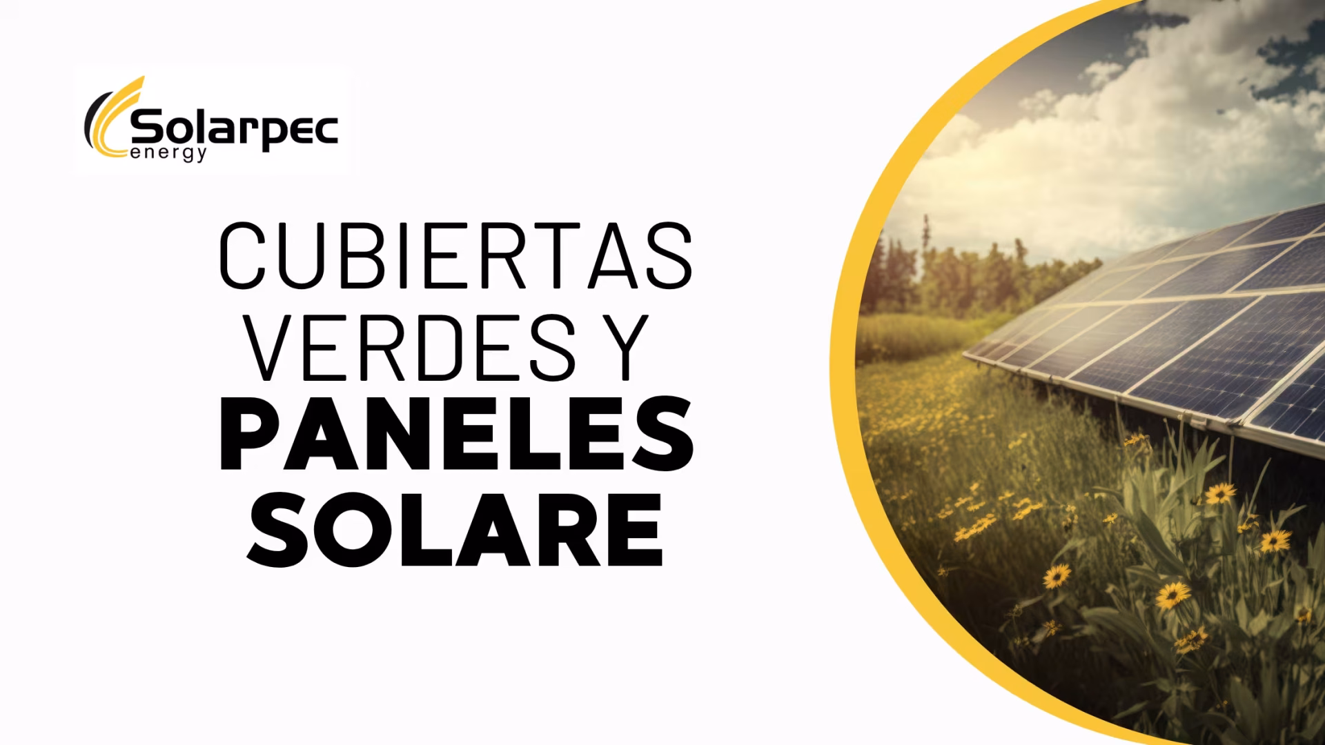 Cubiertas verdes y paneles solares ¿Cómo combinar vegetación y energía fotovoltaica?