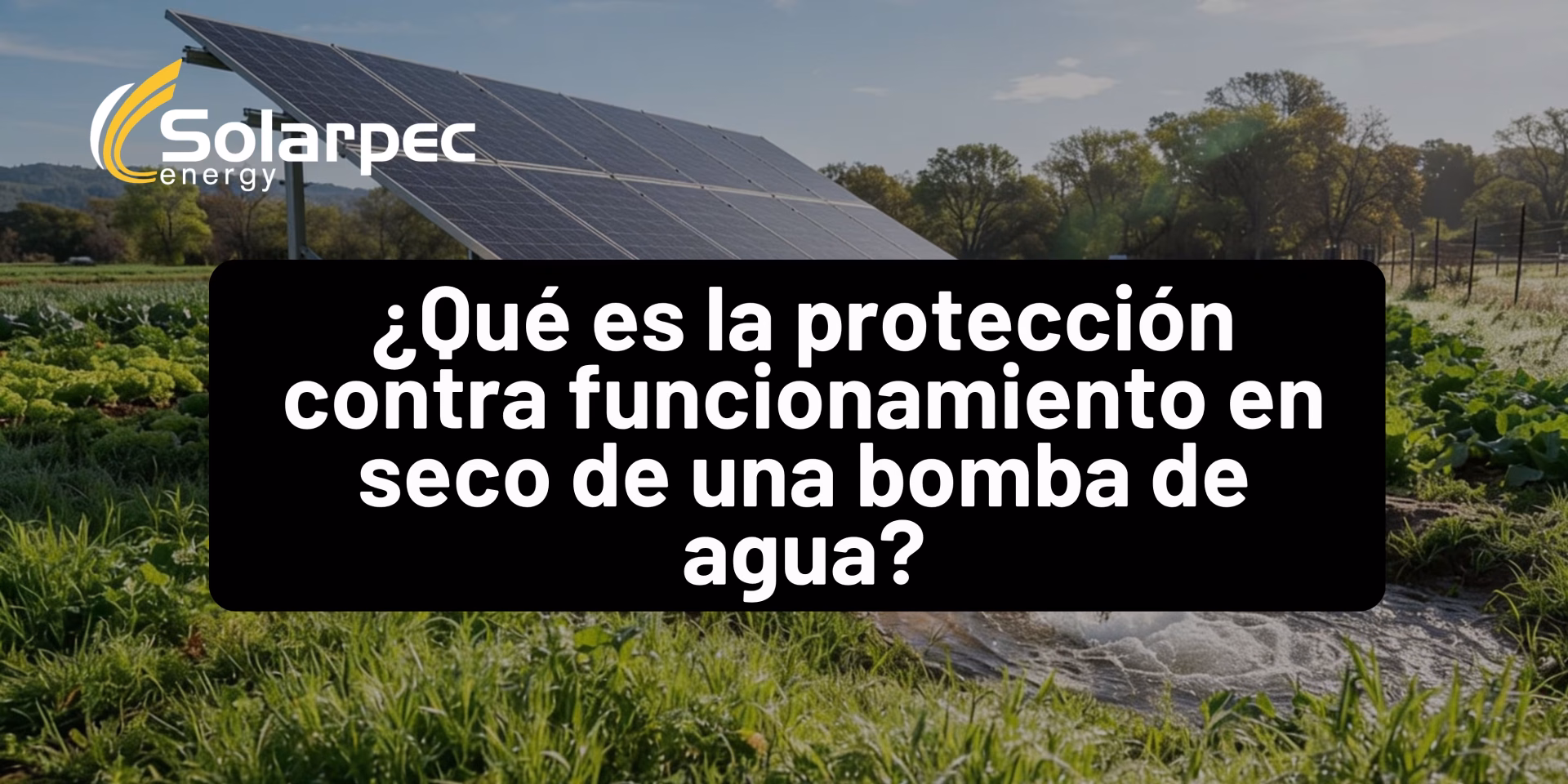 ¿Qué es la protección contra funcionamiento en seco de una bomba de agua?
