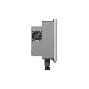 Producto 569 - Imagen 5