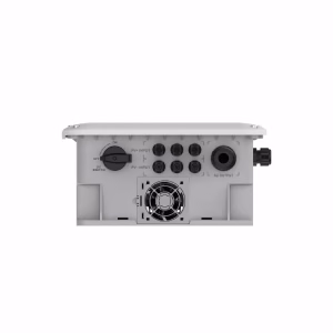 Producto 667 - Imagen 3